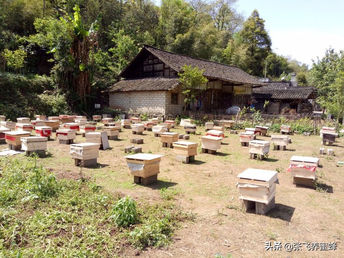 蜂蜜执行标准号,蜂蜜的产品标准号