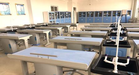 东师的情况,东师是一流大学吗