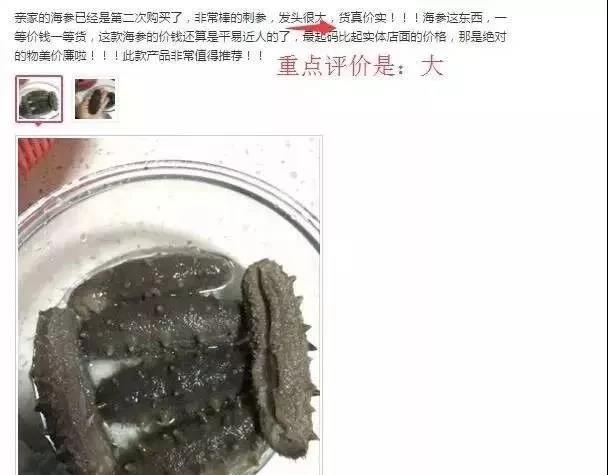为什么网上卖的海参这么便宜 (为什么网上卖的即食海参那么便宜)