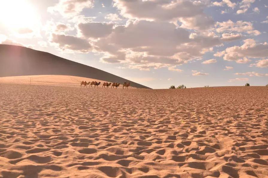 高效摄影,摄影慢动作