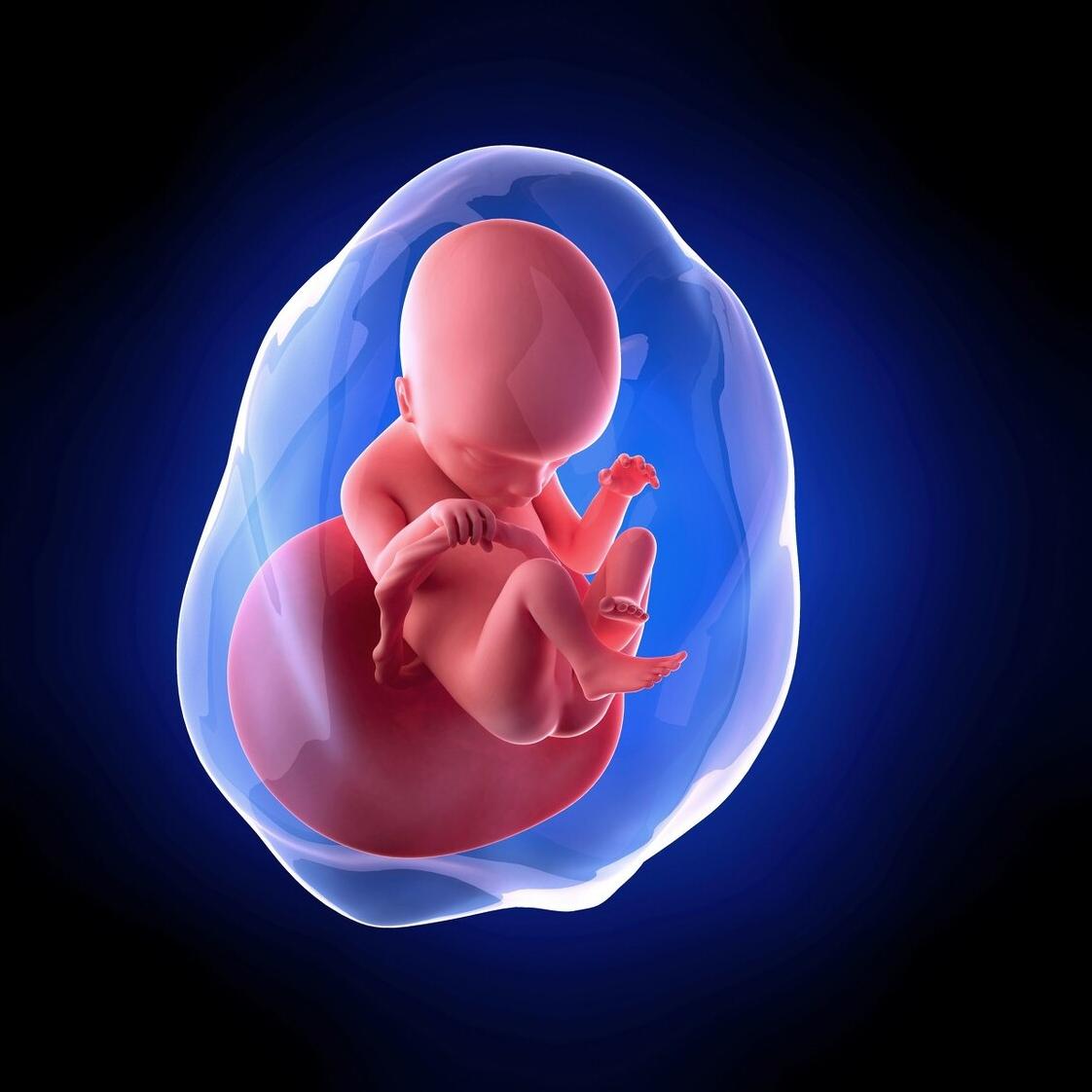 多次移植不明原因失败,好的胚胎反复移植失败怎么办