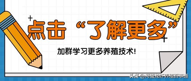 小龙虾怎么养殖存活时间最长,小龙虾养殖是浅水好还是深水好