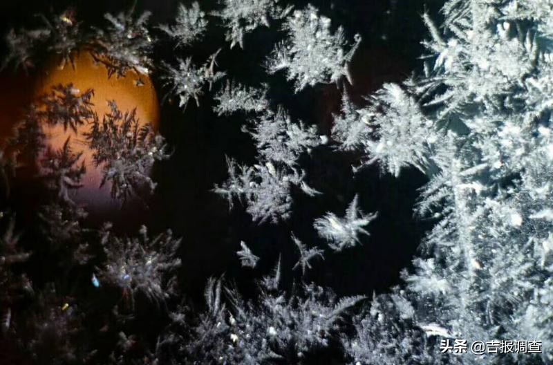 清晨玻璃窗上结满了霜花,唐古拉玻璃窗上的霜花