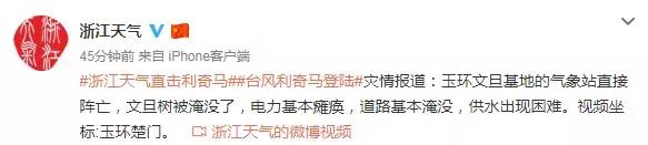 西湖60年大树被连根拔起,西湖大树被淹断电