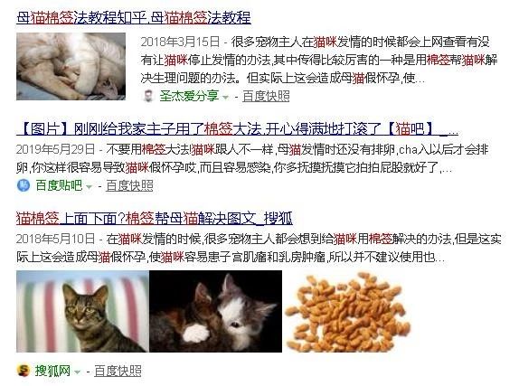母猫发情，可以用棉签帮它捅？你还真信了？