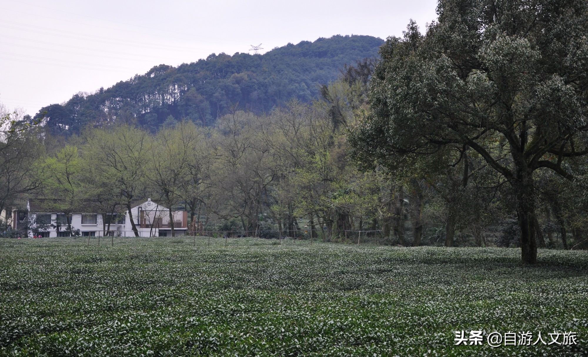 环西湖群山徒步毅行,行走西湖古诗词