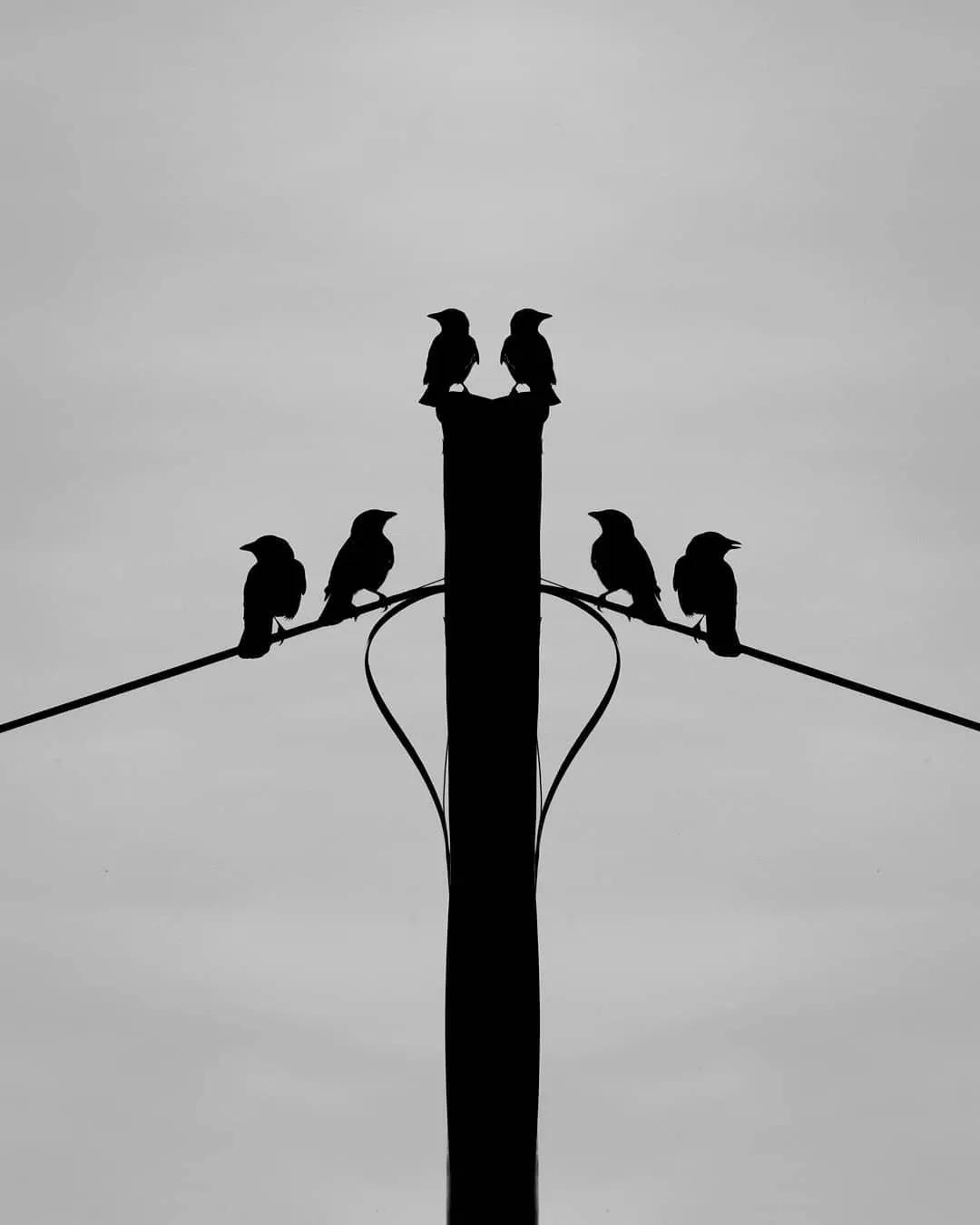 黑白大师摄影作品欣赏,一组经典人像摄影作品欣赏