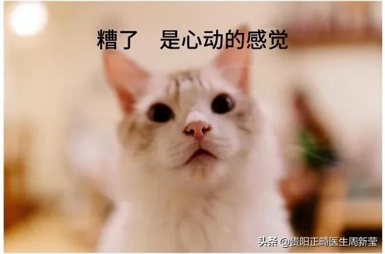 隐形矫正5000多的有哪些套路,隐形矫正说一年就能见效果靠谱吗