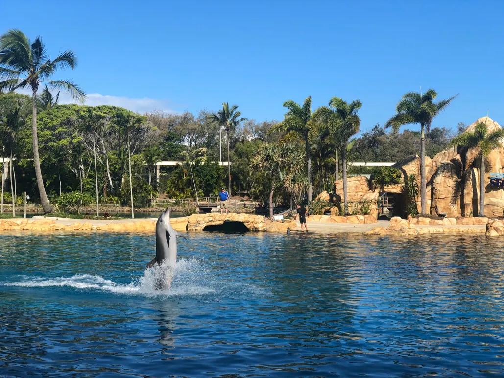澳洲黄金海岸水上世界景点,澳洲黄金海岸有什么好玩的吗