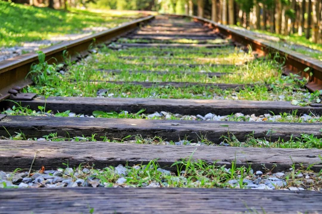 北京人少景美赏秋的公园,北京赏秋中山公园