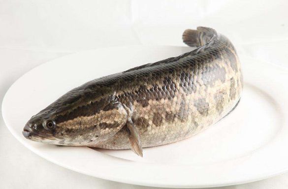 一周食安黑名单,本周食安黑榜