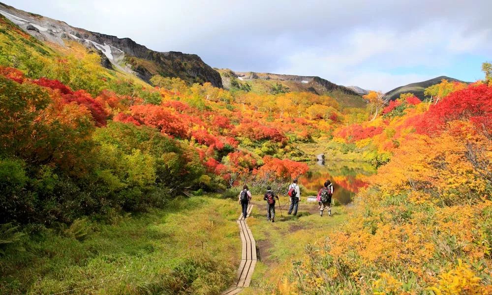 “令和”的第一场春雪怎么玩？JAL中国的米总告诉您
