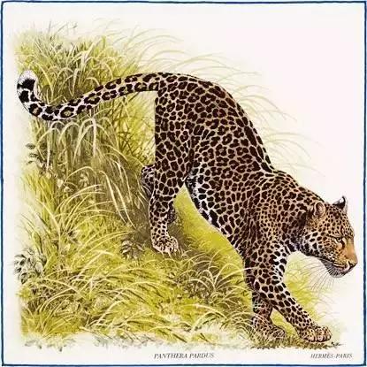 爱马仕丝巾贵的原因,爱马仕丝巾白标和黑标区别