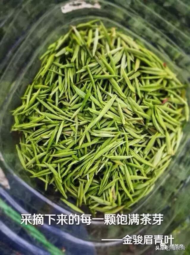 金骏眉银骏眉铜骏眉,金骏眉大赤甘和小赤甘的区别