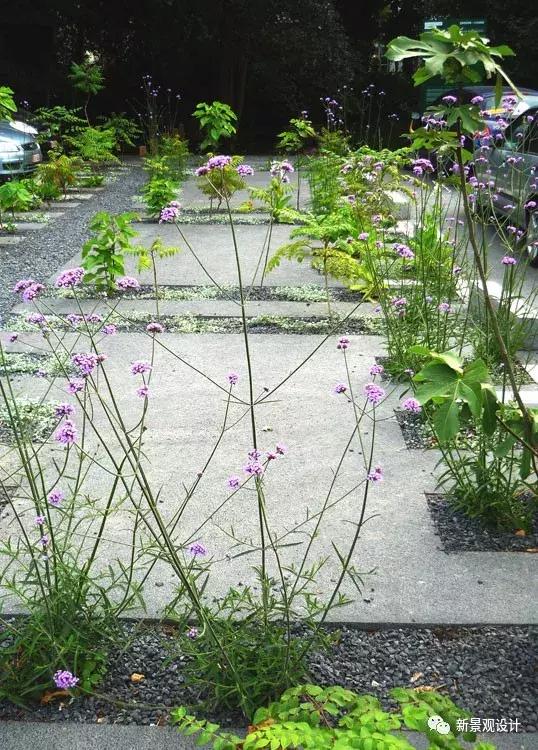 对停车场有什么好的建议,有趣的停车场指引