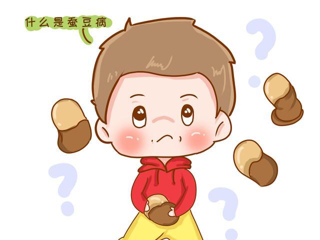 蚕豆的禁用药,蚕豆病禁用的中药有