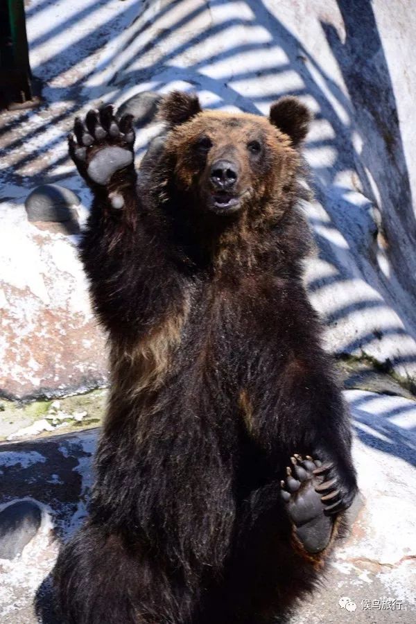 北海道怀石餐厅前五,北海道经典餐厅