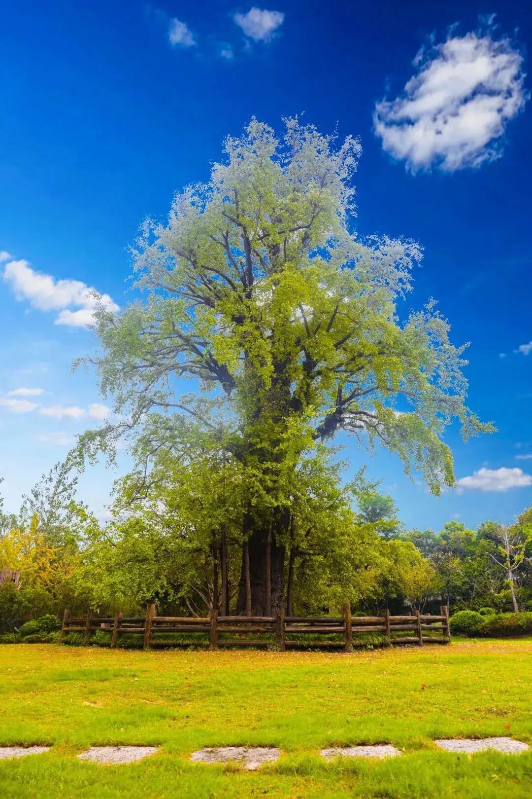 很想换工作但是新工作不稳定,很想换工作又怕过渡期