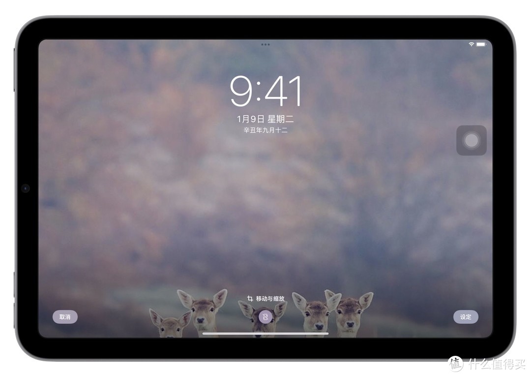 终于等到你还好我没放弃现场,终于等到你还好我没放弃动图