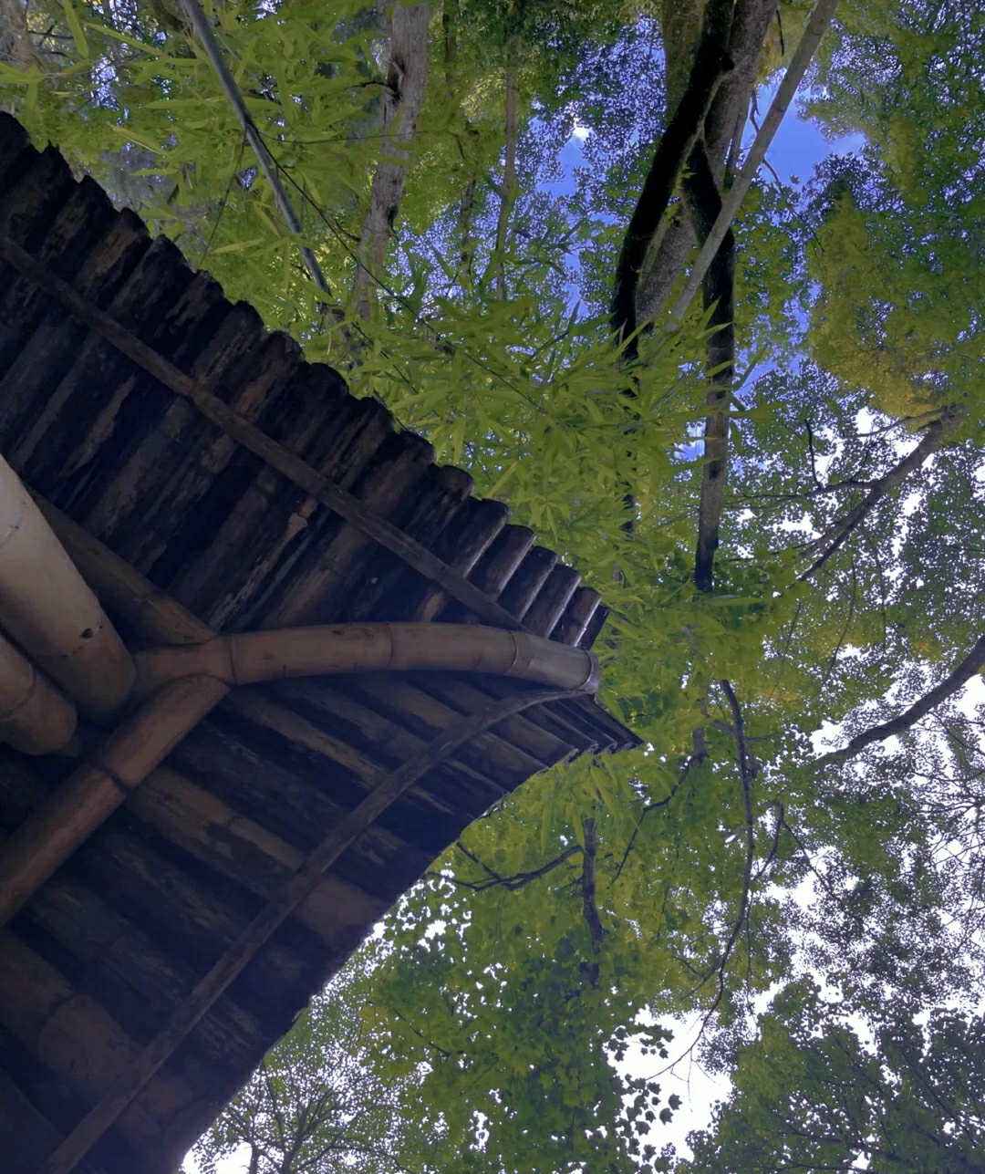 重庆适合亲子游2天一晚避暑,重庆周边的四川避暑胜地有哪些