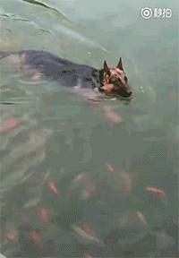 特别搞笑的收藏照片,值得收藏的gif动图