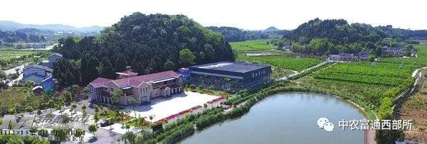 四川乡村振兴有哪些镇,绵阳乡村振兴重点县有哪些