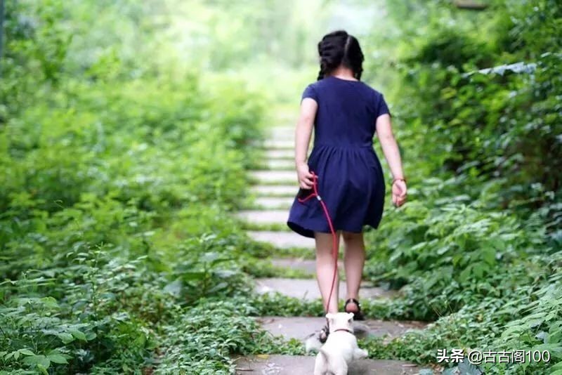 与兰亭对应的书法圣地,兰亭书法纪念馆
