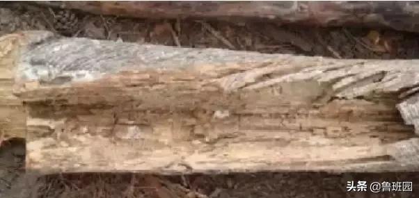 木材受潮腐烂修复,防止木材开裂的最好方法
