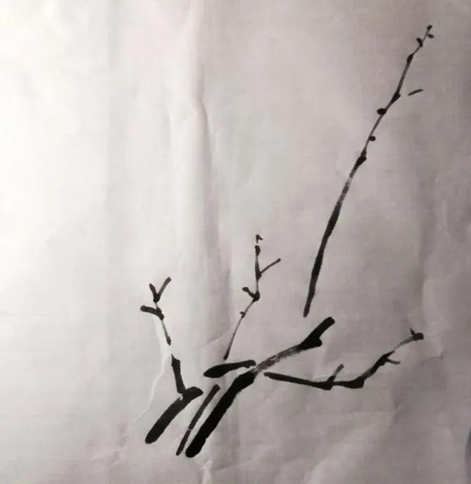 大写意梅韵国画,大写意国画入门教程