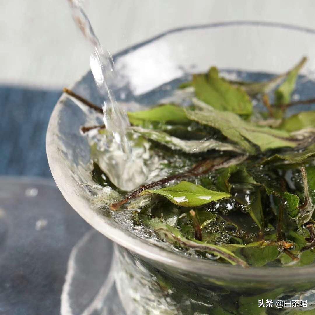 酒后喝茶保健常识,酒后喝茶最简单的解酒