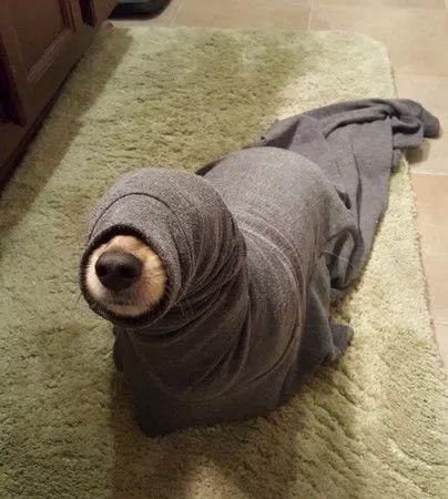 孩子的“鸡鸡”短、包皮长，家长要关注