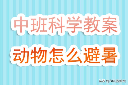 中班科学动物怎样避暑视频,中班科学动物避暑方法多
