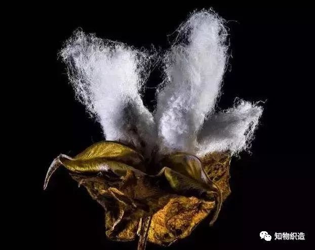 便宜浴巾和贵的浴巾的区别,超细纤维浴巾和纯棉哪个好