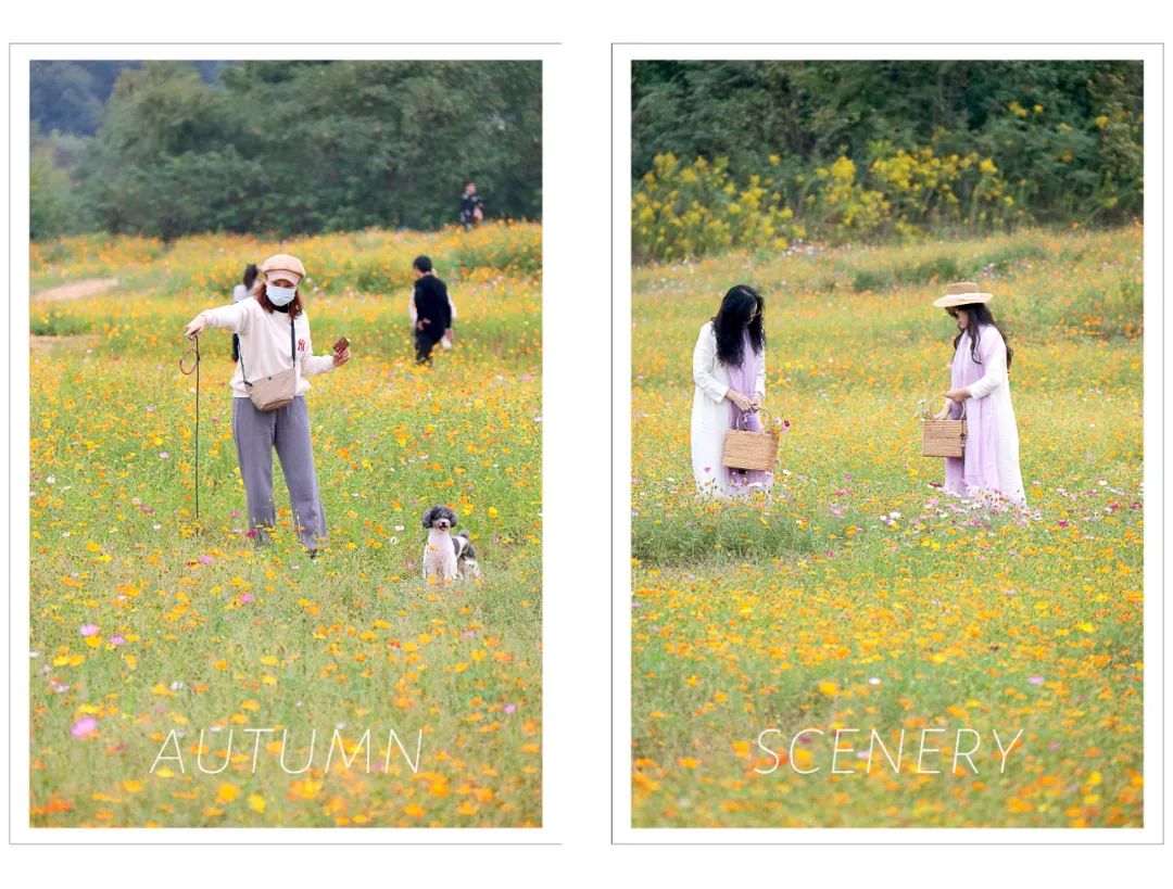 抓住春天的尾巴鸟语花香,抓住花海的尾巴