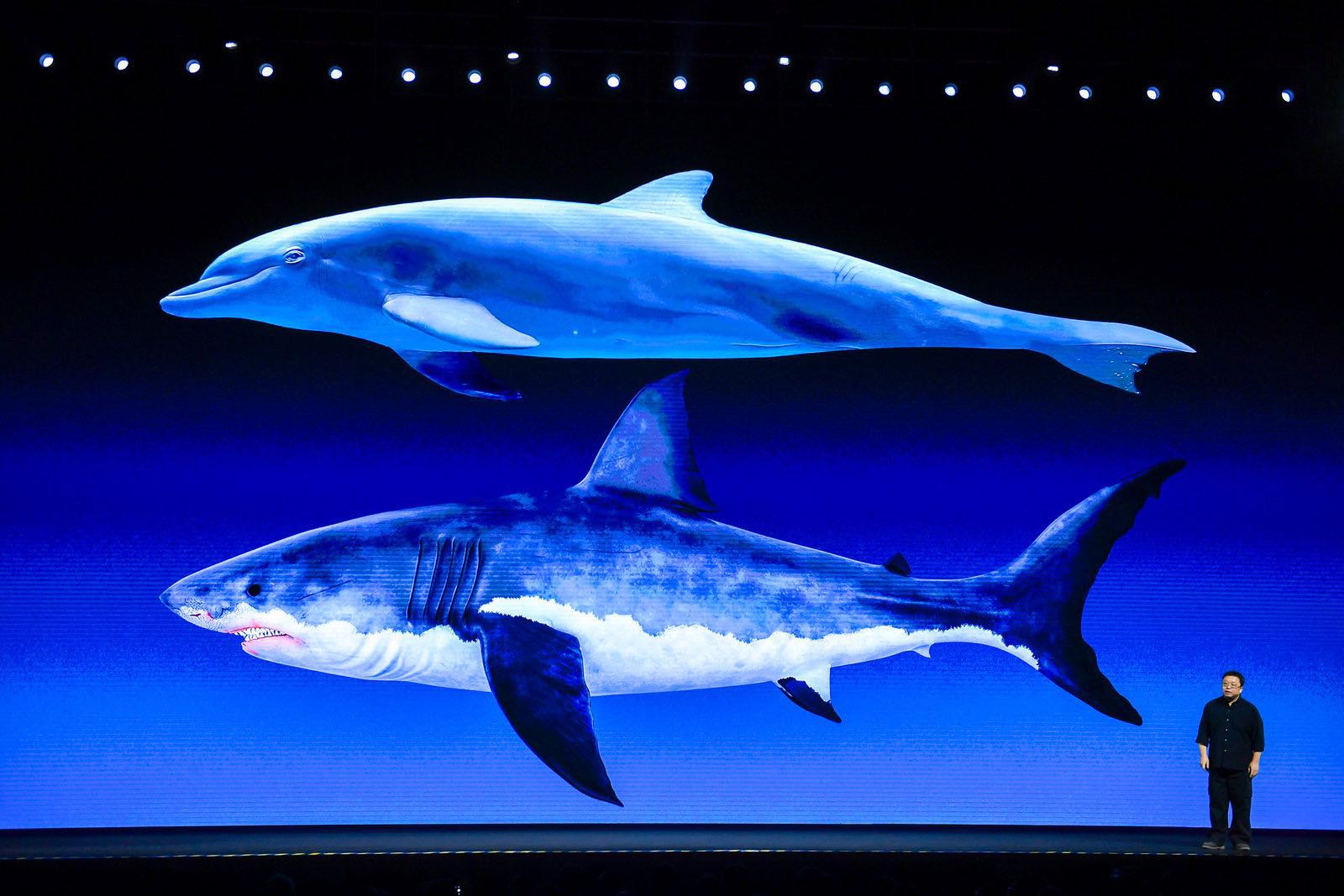 老罗评罗永浩直播,罗永浩老人与海黑科技