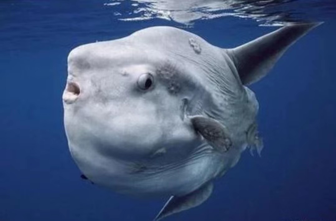 海南远古人类生活,海南古代黑历史