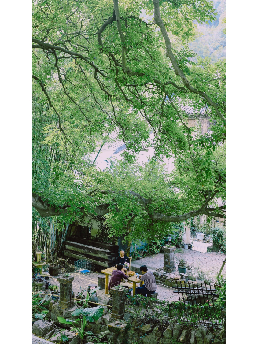 深圳皇岗拍照,深圳湾红树林公园拍照姿势