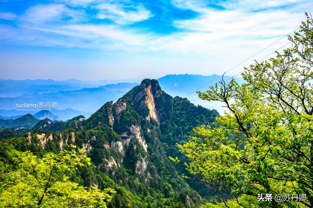 最美神都洛阳,古都洛阳一道靓丽的优美风景线