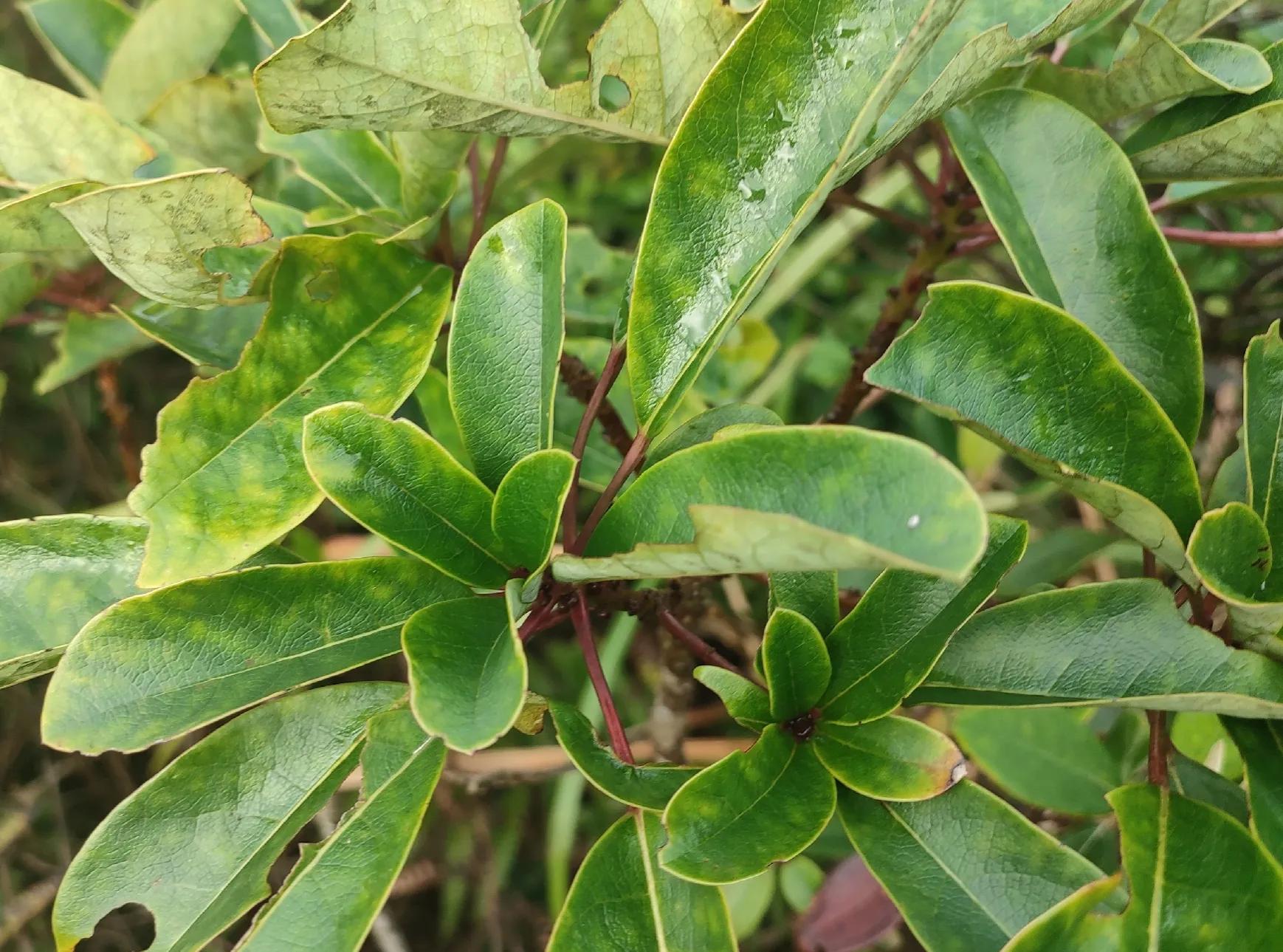 独行大云雾山——劫后余生，还有什么可惧