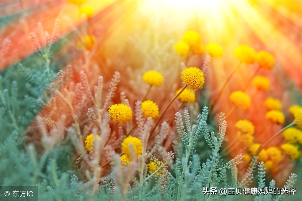 备孕白带比较粘稠怎么调理,备孕期白带增多怎么治疗