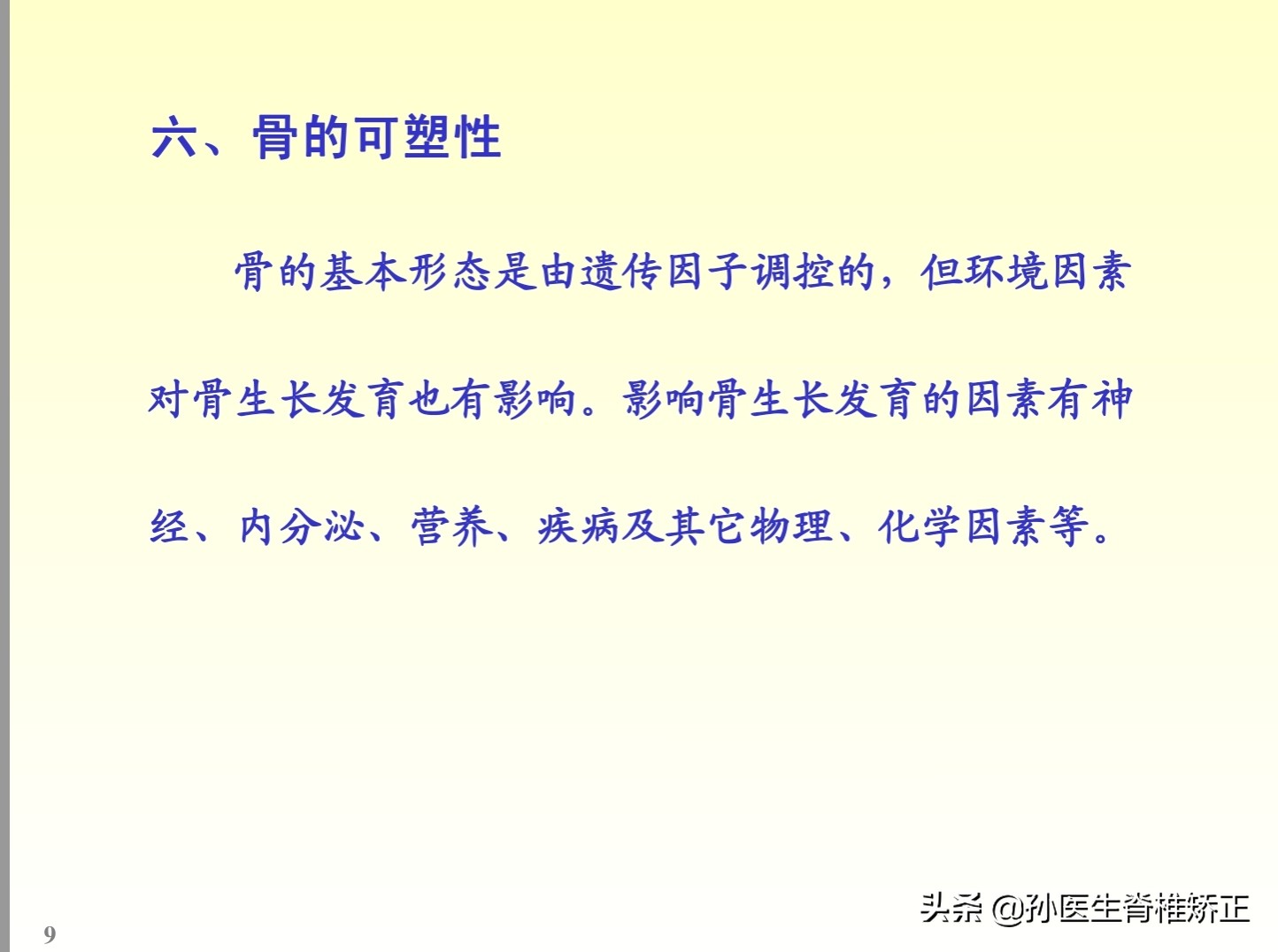 解剖学基础ppt完整版,人体系统解剖学ppt完整版