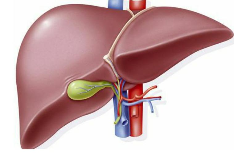 头孢类消炎药酒后多久可以用,酒后用头孢和用头孢后饮酒的区别