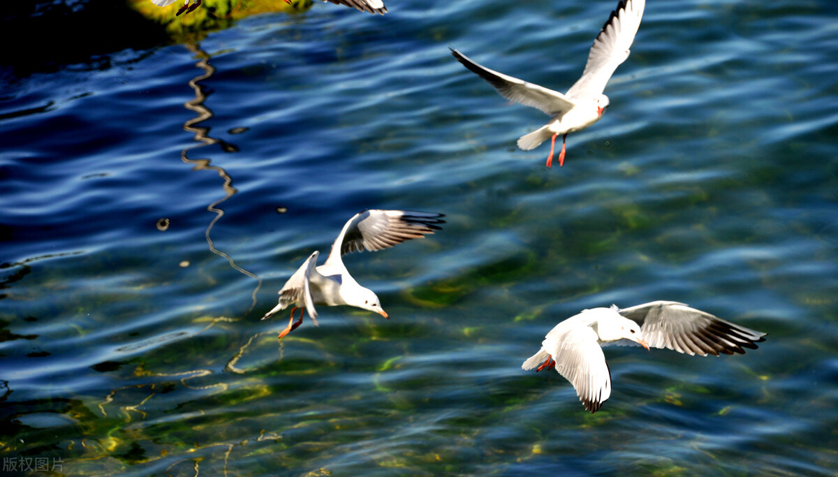 云南的景点真的那么好看吗,云南超美的地方