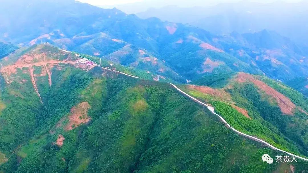 茶眼看陕西最新视频,茶眼看陕西