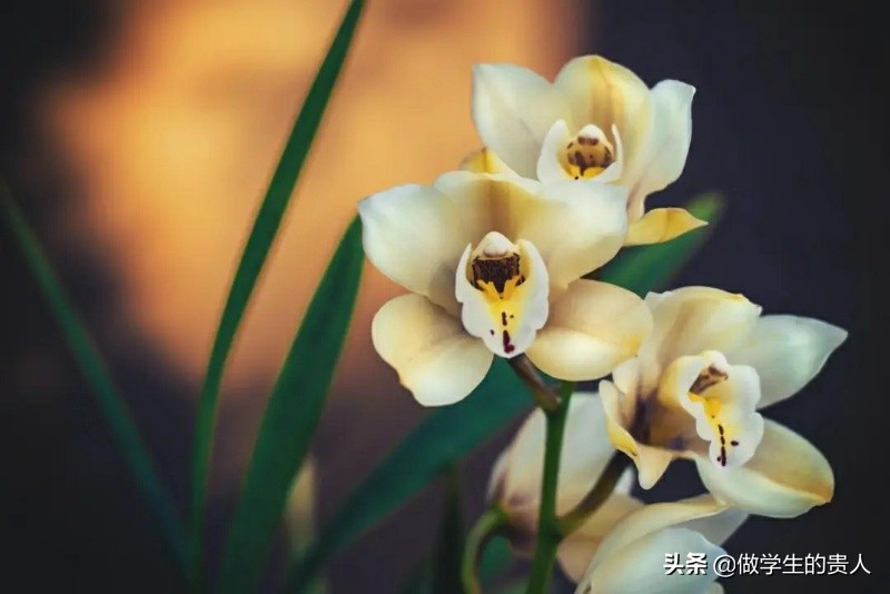 怎么对学生心理危机进行评估呢,如何对学生进行心理危机干预