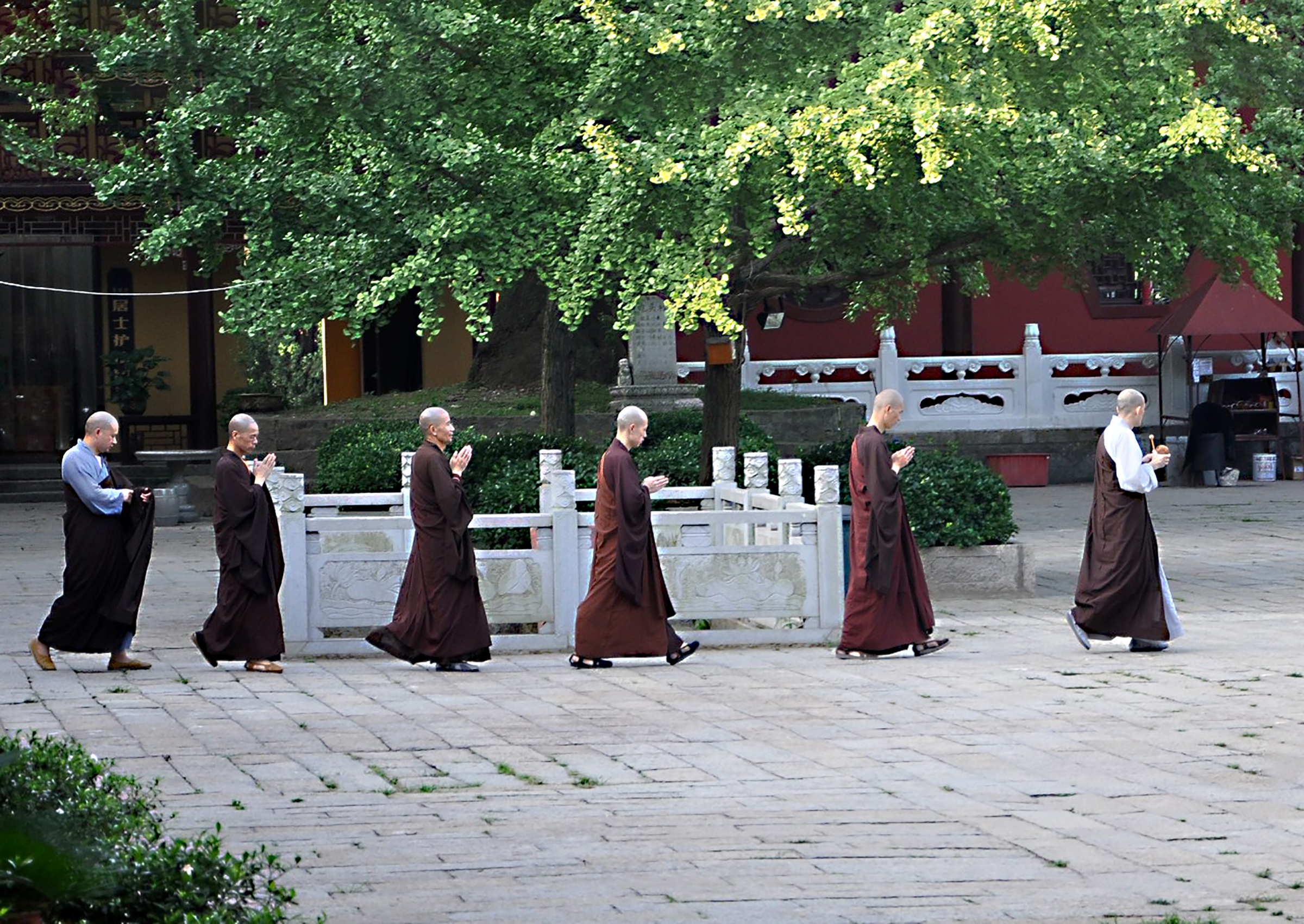 庐山东林寺，这座1600余年古刹，是中国一大佛门圣地，神奇惊叹