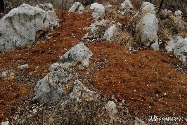 有人要给我投资我应不应该接受,有人要买我家耕地违法吗