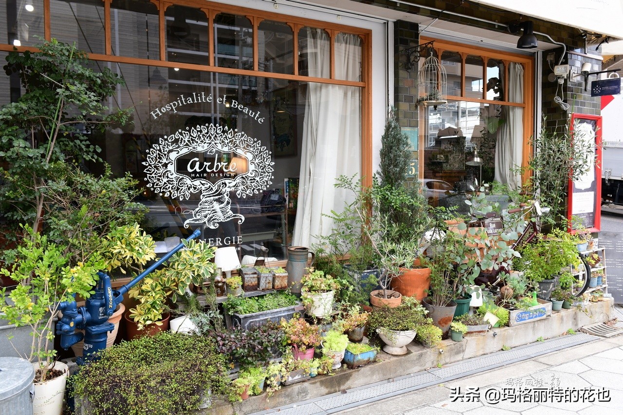 萁田森林公园和大阪的省钱之旅|行摄日本