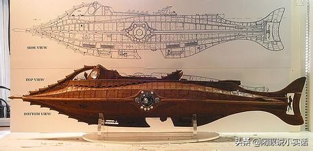 史前活化石鹦鹉螺,世界十大活化石鹦鹉螺