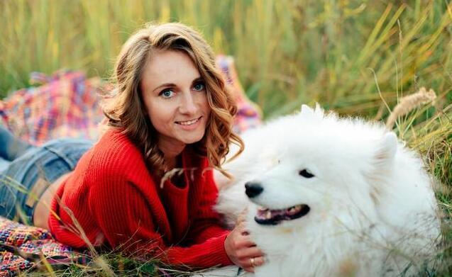 养萨摩耶聪明吗,微笑天使萨摩耶多少钱